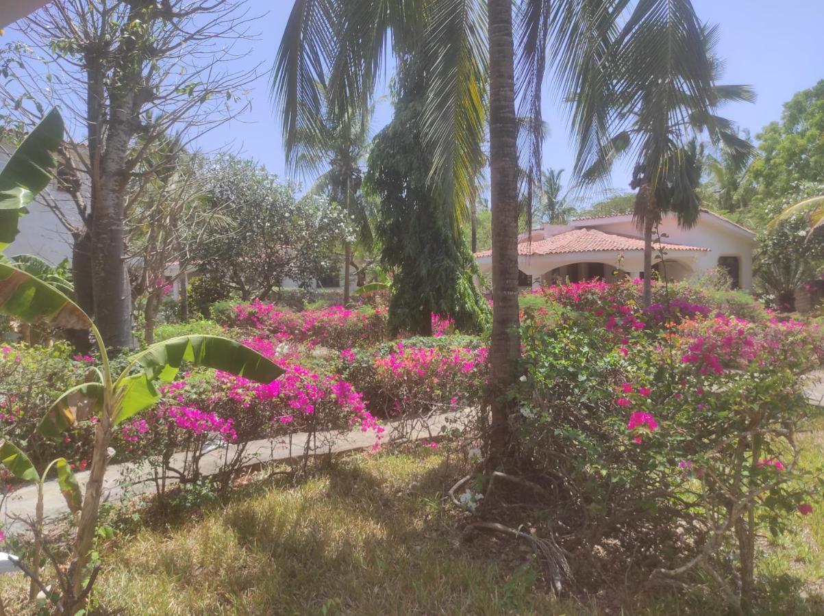 2Livu Villas واتامو المظهر الخارجي الصورة