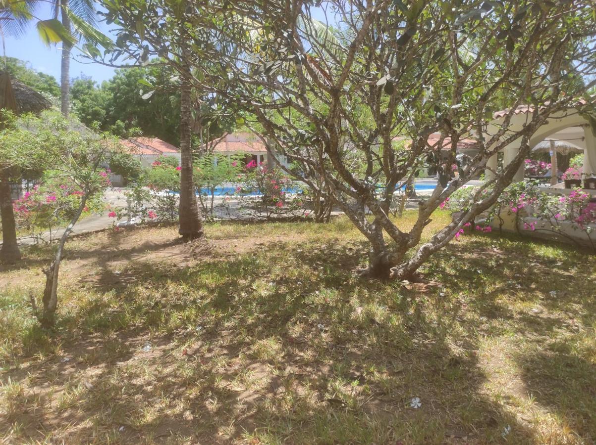 2Livu Villas واتامو المظهر الخارجي الصورة
